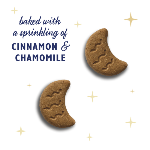 Christmas Bedtime Biscuits