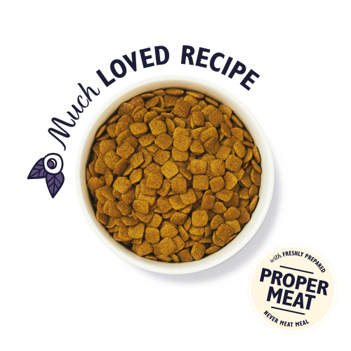 Turkey & Trout Dry Food for Senior Dogs (1kg)