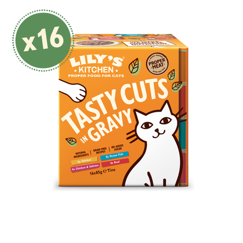 Tasty Cuts in Gravy 16 x 85g Multipack