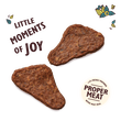 The Mighty Duck Mini Jerky
