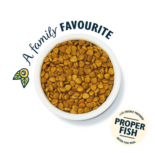 White Fish & Salmon Dry Food (4 x 800g)