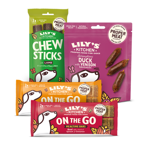 Day Out Bundle for Dogs