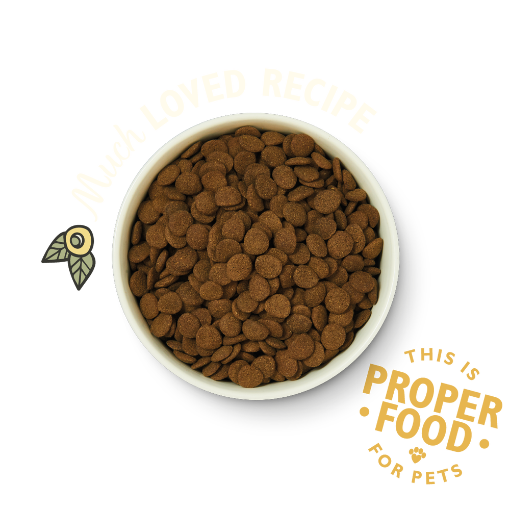 Chicken Duck Dry Food For Dogs Lily S Kitchen