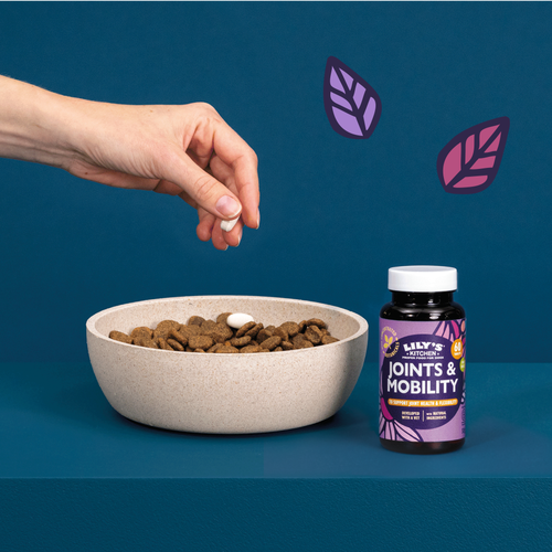 Joints & Mobility Supplements for Dogs