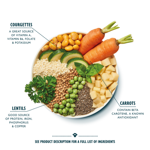 Vibrant Rainbow Stew (Vegan Recipe 6 x 400g)