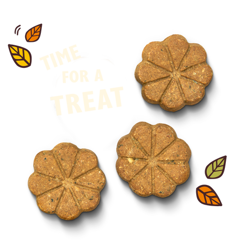 Breaktime Biscuits