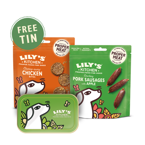Dog treat kitchen top
