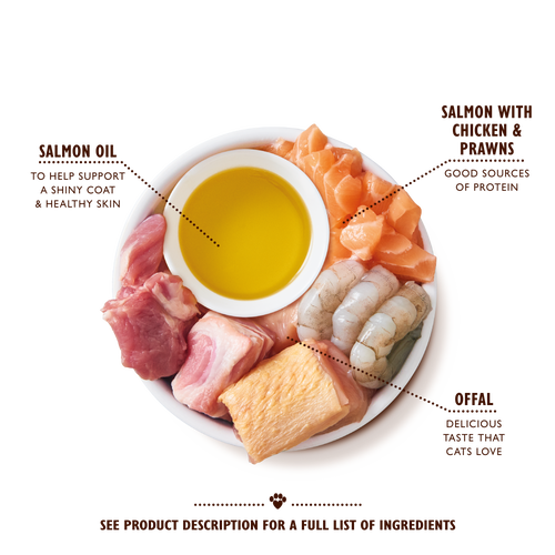 Salmon with Chicken & Prawns Paté