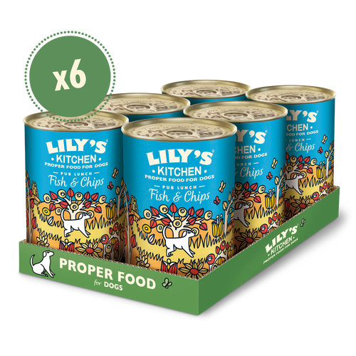 Lily's kitchen dog food online