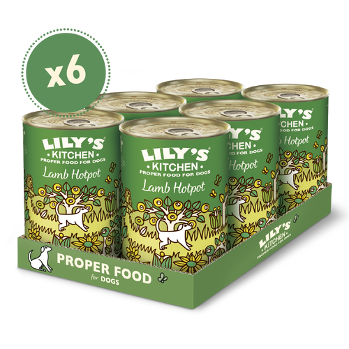 Lily's kitchen lamb online