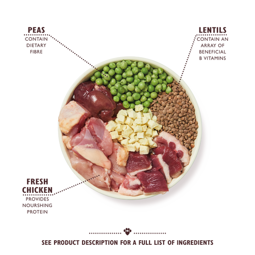 Small Breed Chicken & Duck Dry Food
