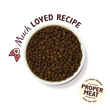 Chicken & Salmon Dry Food for Puppies