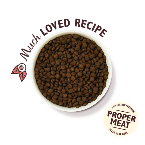 Chicken & Salmon Dry Food for Puppies