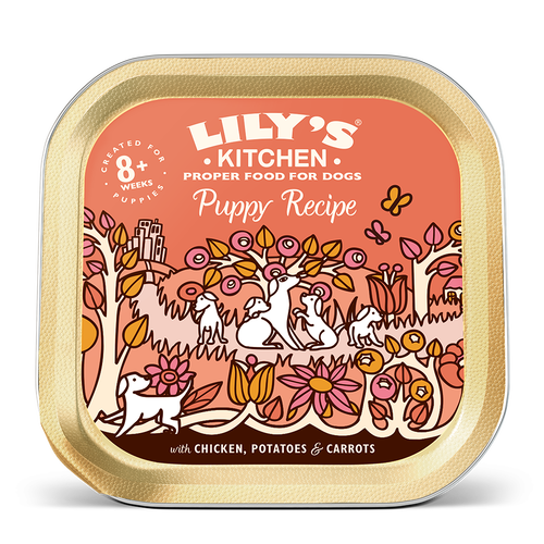 Lily's 2025 kitchen puppy