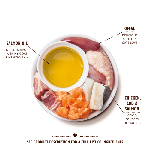 Paté with Chicken, Cod & Salmon for Kittens
