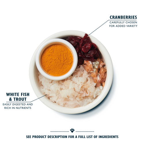 White Fish with Turkey & Trout Senior Dry Food (4 x 800g)