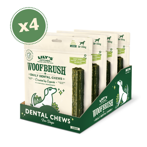 Lily's kitchen woofbrush large 2025
