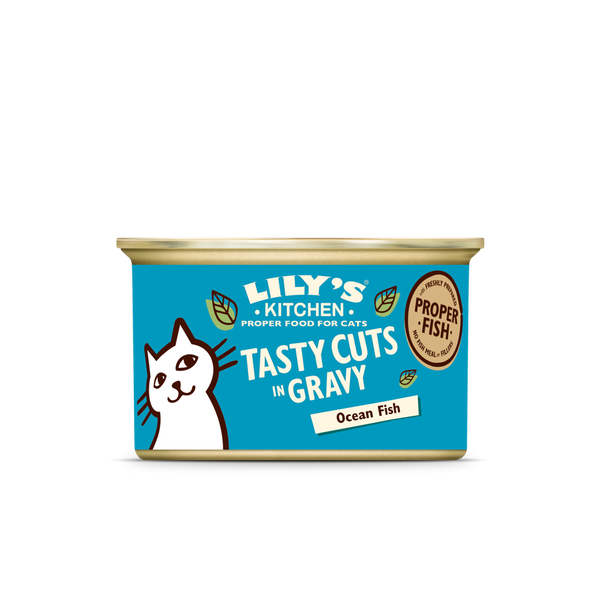 Lily's kitchen clearance senior cat food