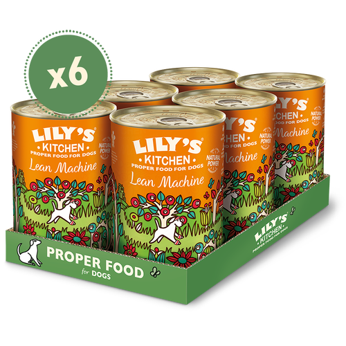 Lily's kitchen canned dog outlet food