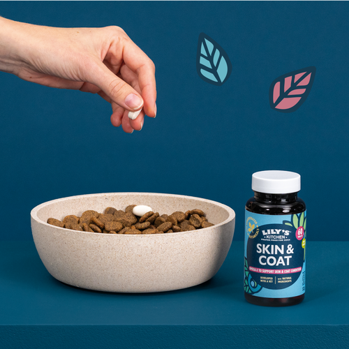 Skin & Coat Supplements for Dogs