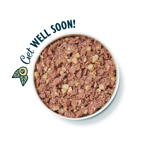 Recovery Recipe (400g)