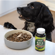 Bum & Belly Supplements for Dogs
