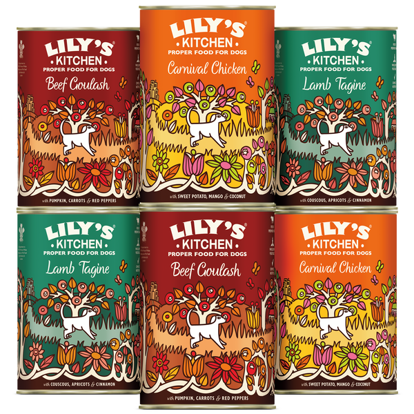 Lily's kitchen dog food offers sale