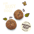 Chicken Protein Bites