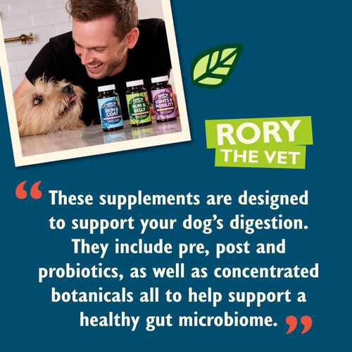 Bum & Belly Supplements for Dogs