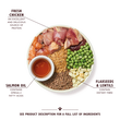 Chicken & Salmon Dry Food for Puppies