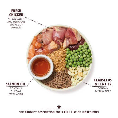 Chicken & Salmon Dry Food for Puppies