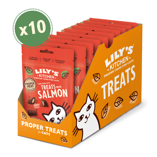 Treats with Salmon (10 x 60g)