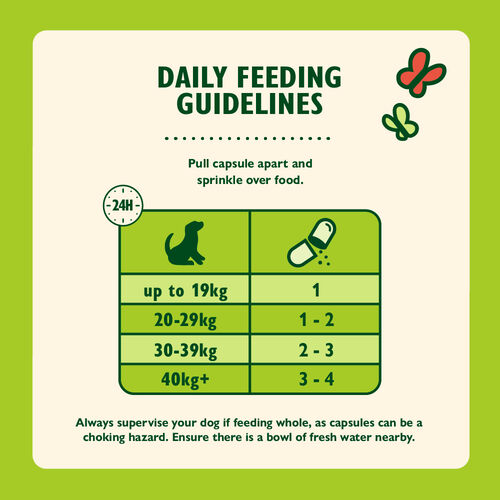 Bum & Belly Supplements for Dogs