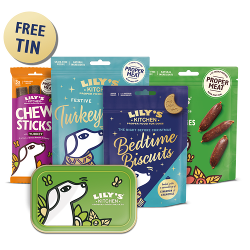 Christmas Stocking Fillers for Dogs