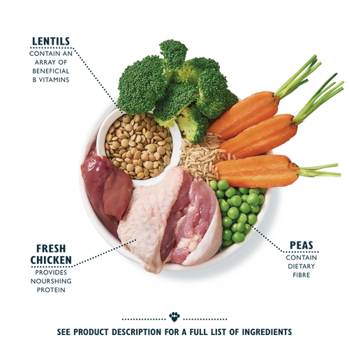 Organic Chicken & Vegetable Dry Food