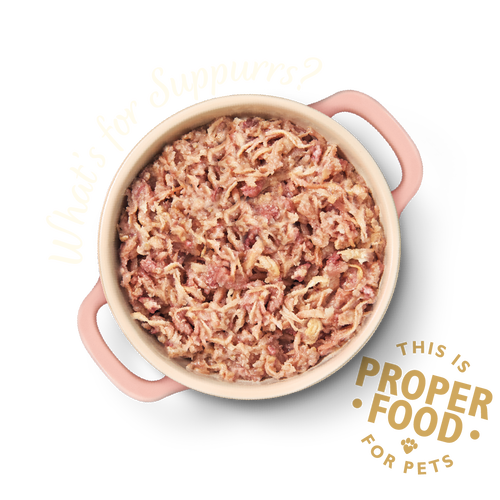 Suppurrs best sale