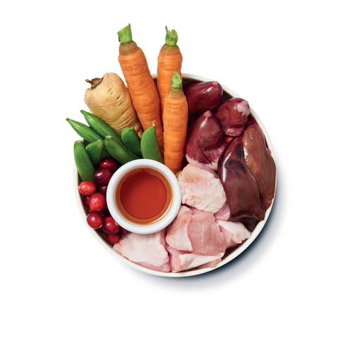 Senior Recipe for Older Dogs (10 x 150g)