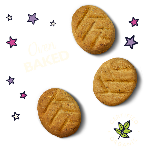Organic Bedtime Biscuits