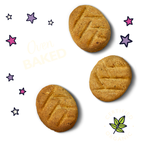 Organic Bedtime Biscuits