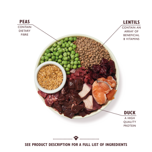 Duck, Salmon and Venison Dry Food
