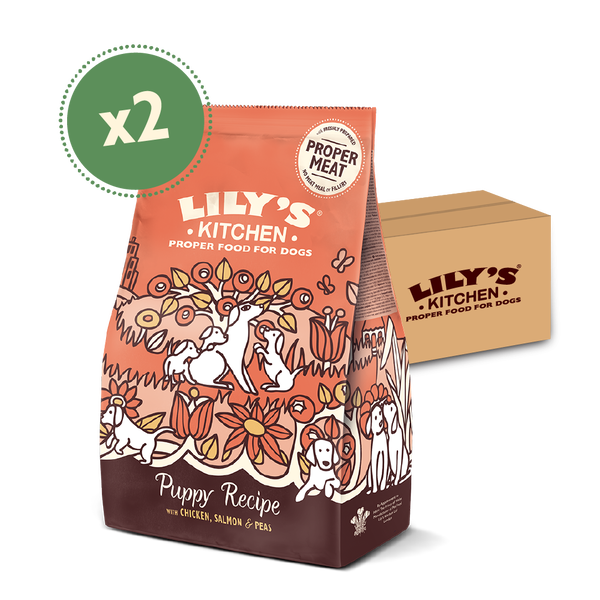 Lily's kitchen dry dog food 7kg sales