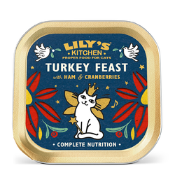 Christmas Turkey & Ham Feast