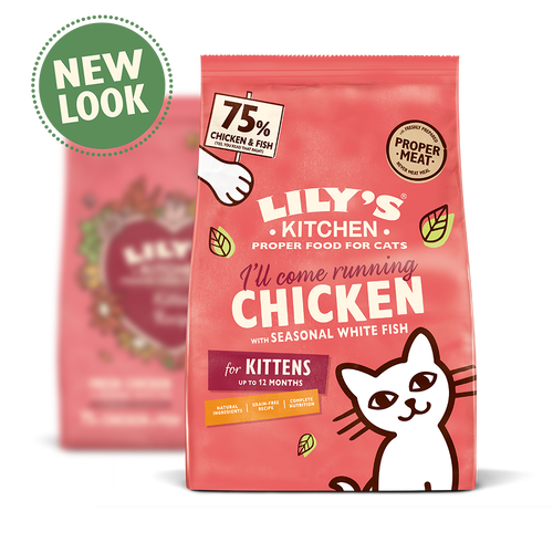 Lily's kitchen kitten food clearance