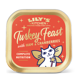 Christmas Turkey Feast with Ham & Cranberries (85g)