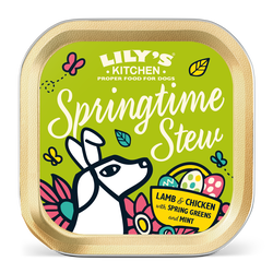 Springtime Stew