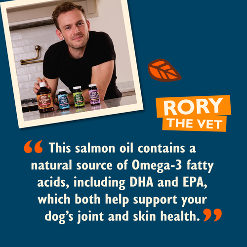 Norwegian Salmon Oil for Dogs 500ml