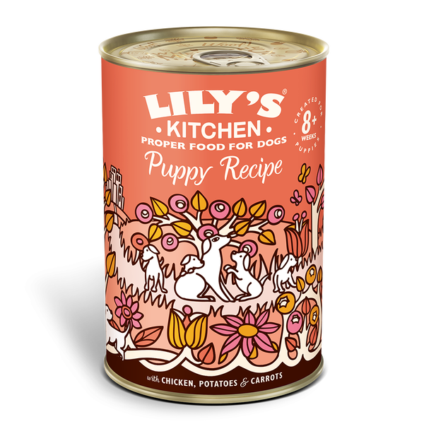 Lily's kitchen puppy wet food store