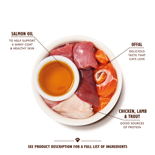 Chicken Paté for Mature Cats (19 x 85g)
