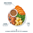 Salmon Dry Food