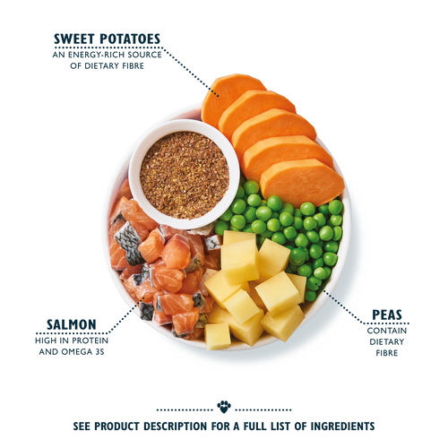 Salmon Dry Food